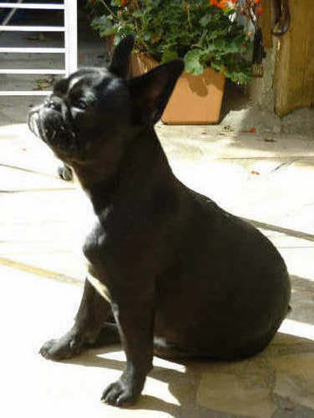 Bain de soleil pour Upsa