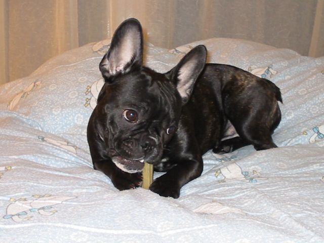 Beautée fatale sur le lit Beautée fatale sur le lit