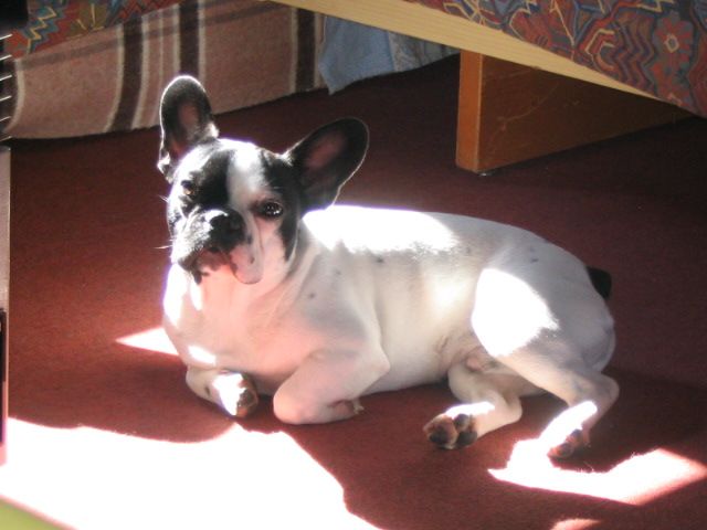 Photo_guenael_029 Photo_guenael_029