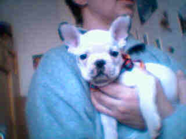 Ulysse bébé