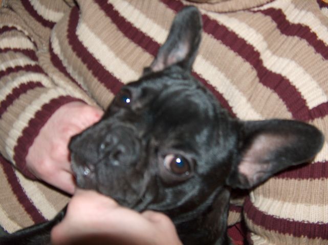 Mon papa : j'l'adore!