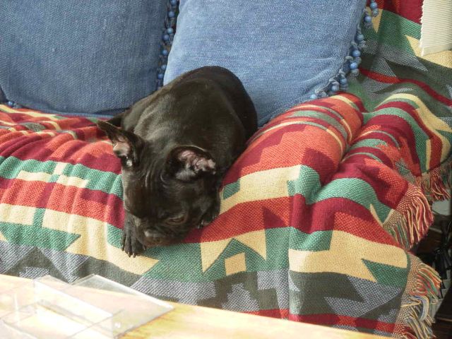 Descendra, descendra pas ?