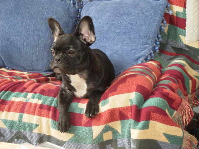 ben, descendra pas !