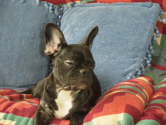 ze sais z'suis belle ! ze sais z'suis belle !