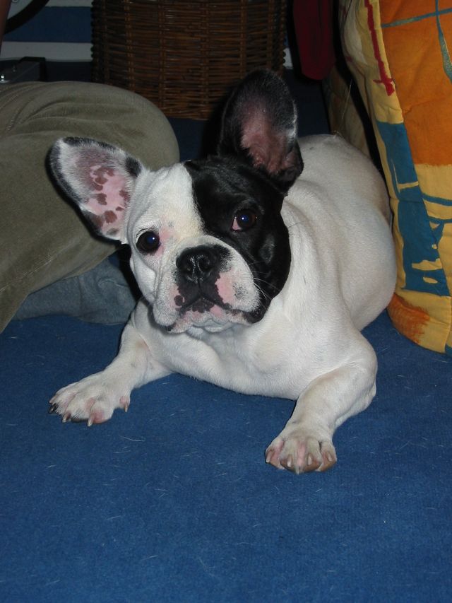 Uxane, notre p'tite bouboule