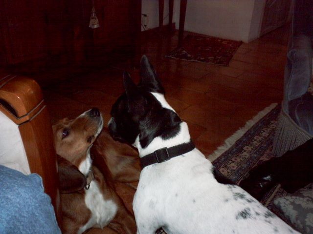 dis_tu_m_aimes_polka