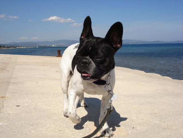 j_arrive_plage_de_hyeres j_arrive_plage_de_hyeres