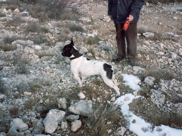 photo_forcalquier_026