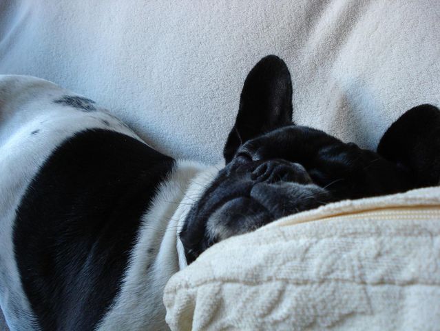 retour_de_st-tropez_grosse_fatigue_1 retour_de_st-tropez_grosse_fatigue_1