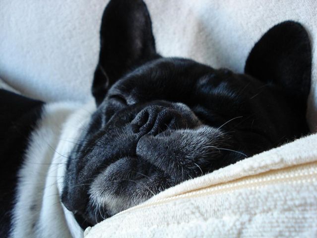 retour_de_st-tropez_grosse_fatigue_2 retour_de_st-tropez_grosse_fatigue_2