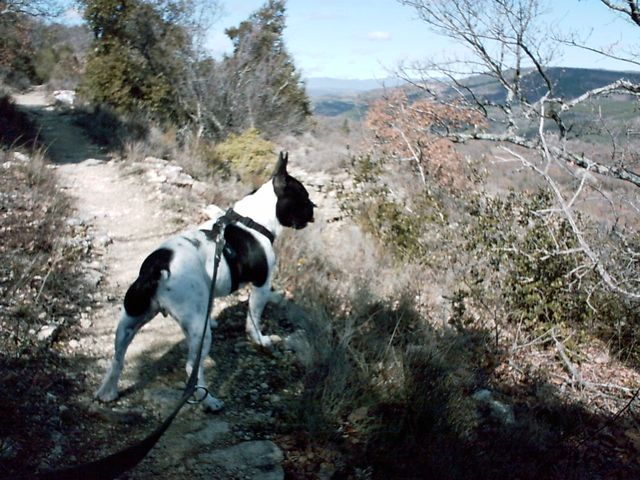 velours_les_bories_004