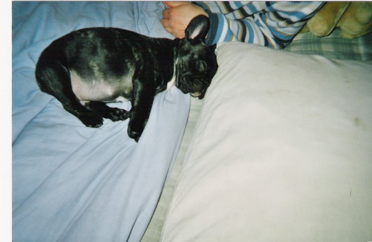 Gros dodo pépère Vermeil