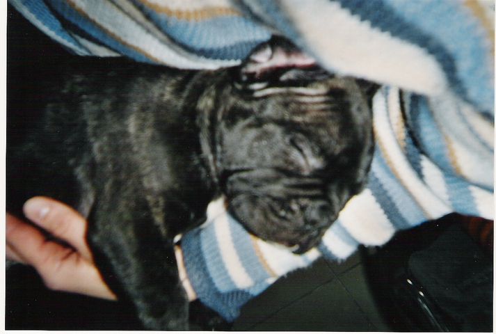 On est si bien On est si bien