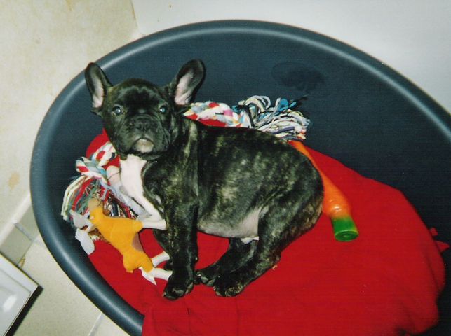 Pas touche à mes jouets