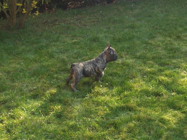 Première sortie de Virus