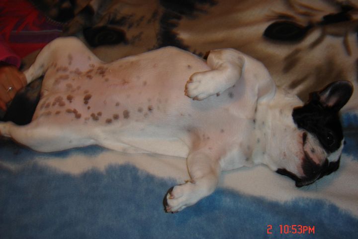 Vive la sieste