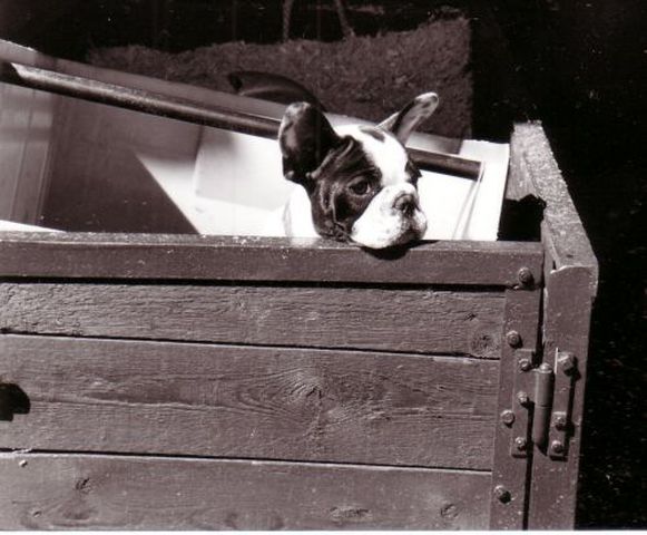 Cachée dans la remorque pleine de copeaux!