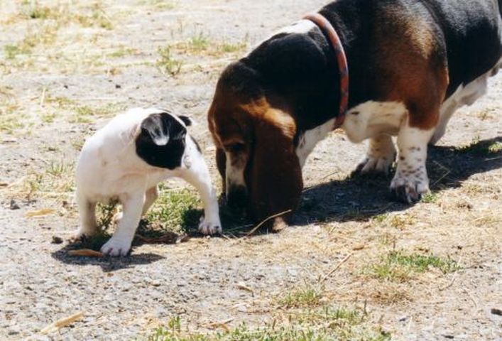Rencontre du 3ème type