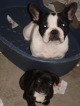 Ulla et Aïsha Ulla et Aïsha