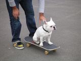 Je skate!