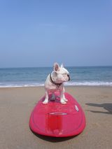 En vacances à Biarritz