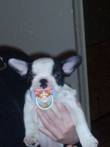 J'ai été pris en flagrant délis J'ai été pris en flagrant délis