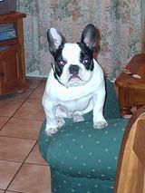 qu_est_ce_que_tu_tiens_dans_tes_mains