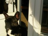 38_fevrier_2007_038