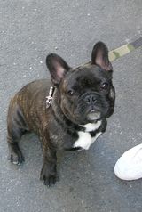 aston_6_mois