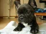 Sur les jambes de sa maman!