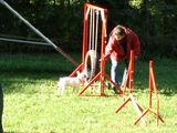 azor_en_agility2