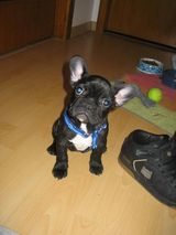 petite_pose_devant_l_objectif_3mois petite_pose_devant_l_objectif_3mois