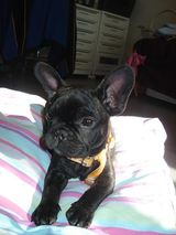 cachou_au_soleil_8 cachou_au_soleil_8