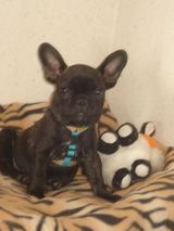 cachoudehors_009 cachoudehors_009