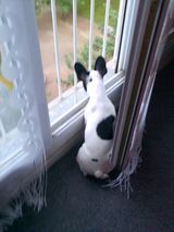 choco_ki_guette choco_ki_guette