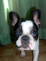 Quoi? Tu veux ma photo?!!! Quoi? Tu veux ma photo?!!!