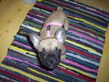 photo_415