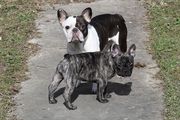 img_0581_dxo