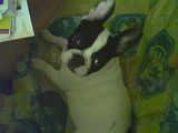 apres_une_longue_balade_il_est_l_heure_de_se_reposer apres_une_longue_balade_il_est_l_heure_de_se_reposer