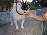 img_0059 img_0059