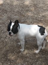 img_0077 img_0077