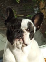photos_nathy_013
