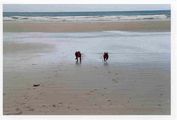 sur_la_plage