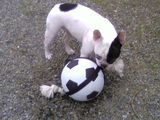 kalie_basketteuse kalie_basketteuse