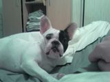 kalie_se_reveille kalie_se_reveille