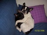 album_pic_7