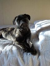 01_immagine016 01_immagine016