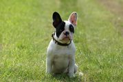 dsc02778 dsc02778