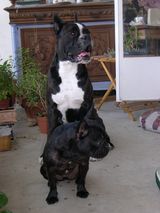 Odessa et Shaft Odessa et Shaft