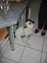 Boule_le_mendiant Boule_le_mendiant